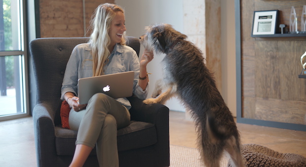 girl petting dog at work