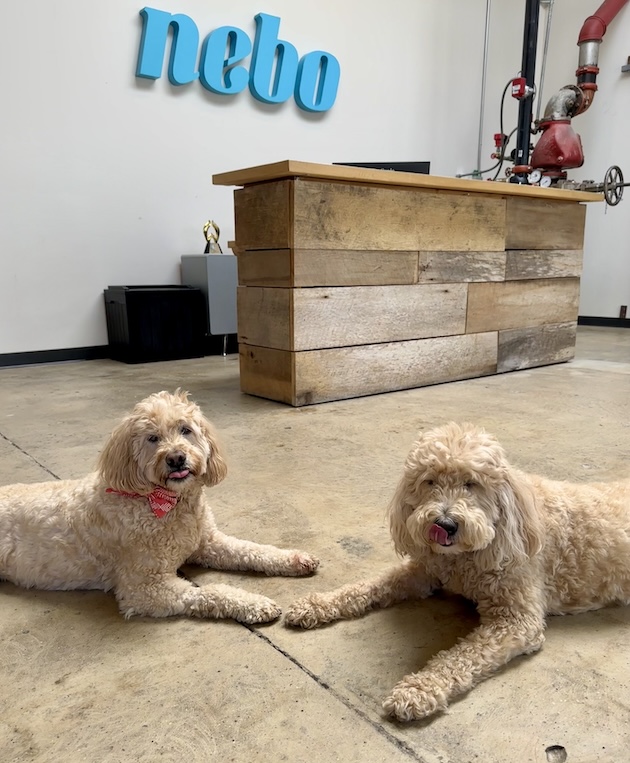 Nebo Lobby with Molly and Pipa