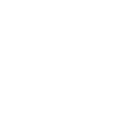 In-Store & Touchscreen