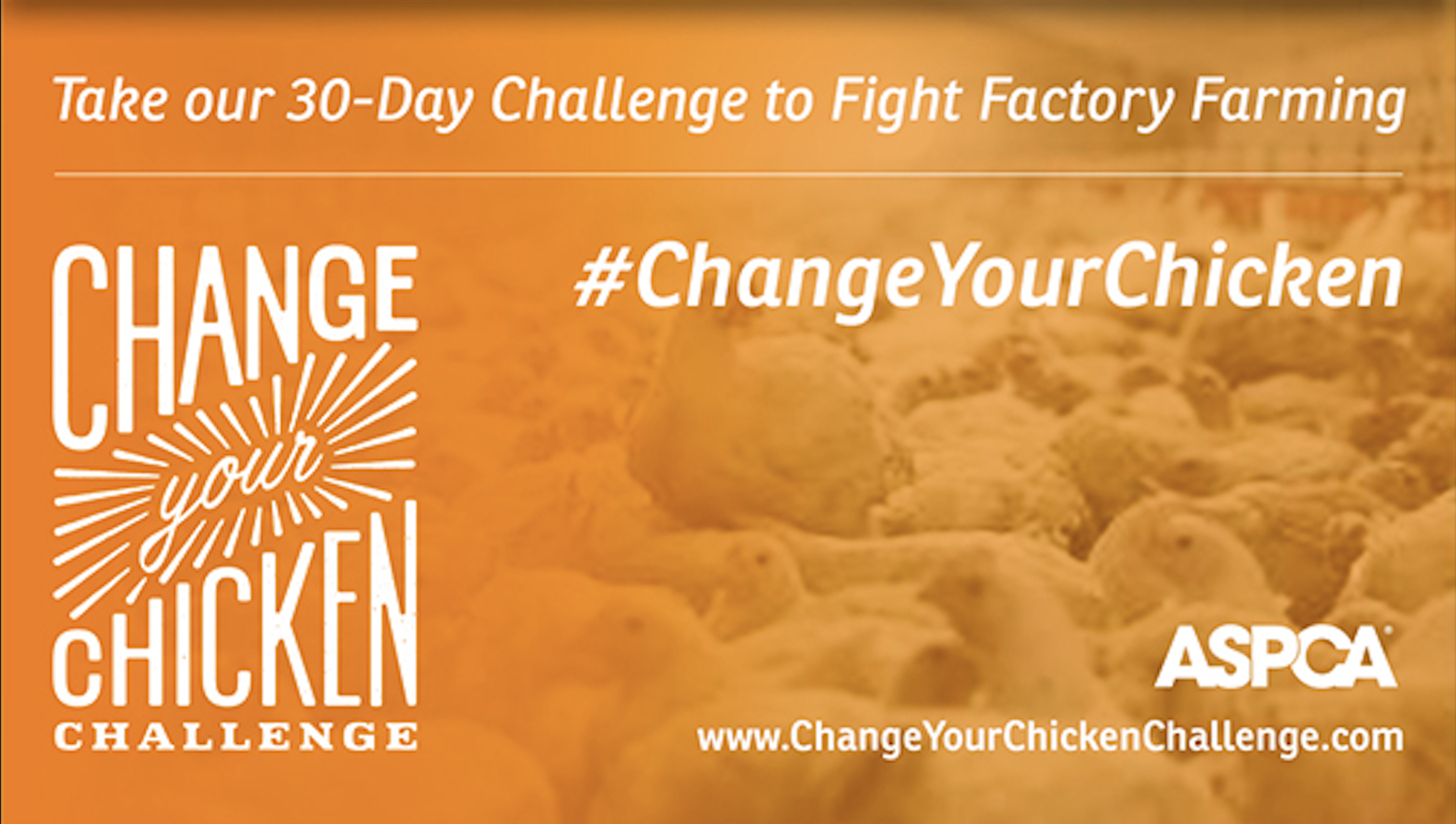 Change your chicken