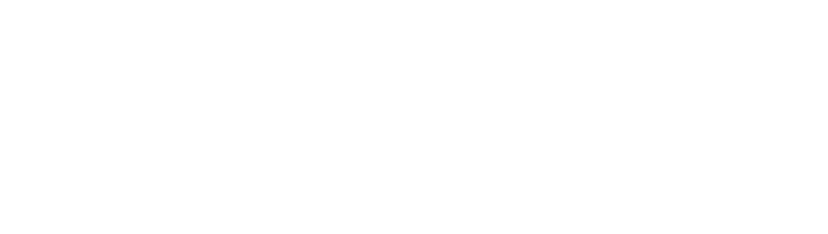 The Arthritis Foundation