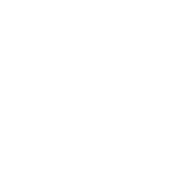 Brand Experience Strategy