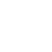 Concept & Creative Testing