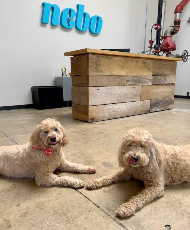 Nebo Lobby with Molly and Pipa