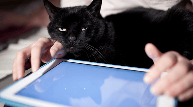 Is the Second Screen Really the First