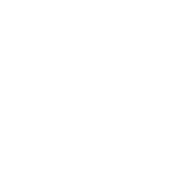 In-Store & Touchscreen