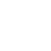 Brand Activation & Launch Planning