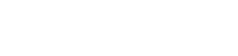 LexisNexis Risk Solutions