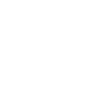 Responsive & Mobile