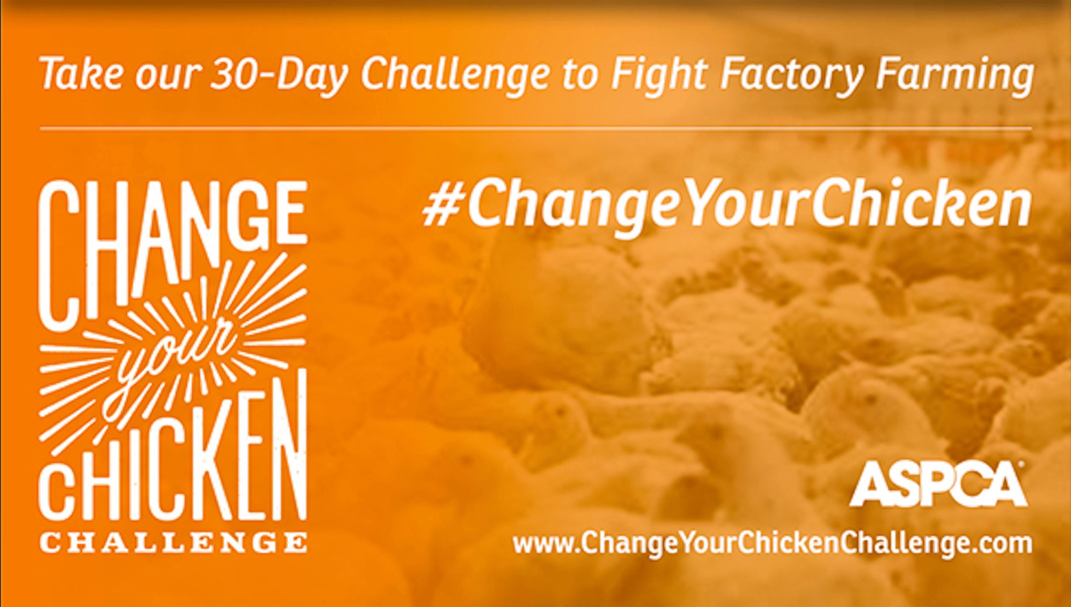 Change your chicken