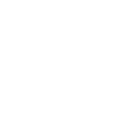 Search Engine Optimization (SEO)