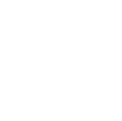 Brand Collateral & Templates