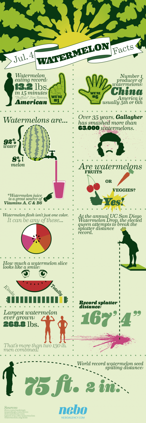 watermelon infographic 2